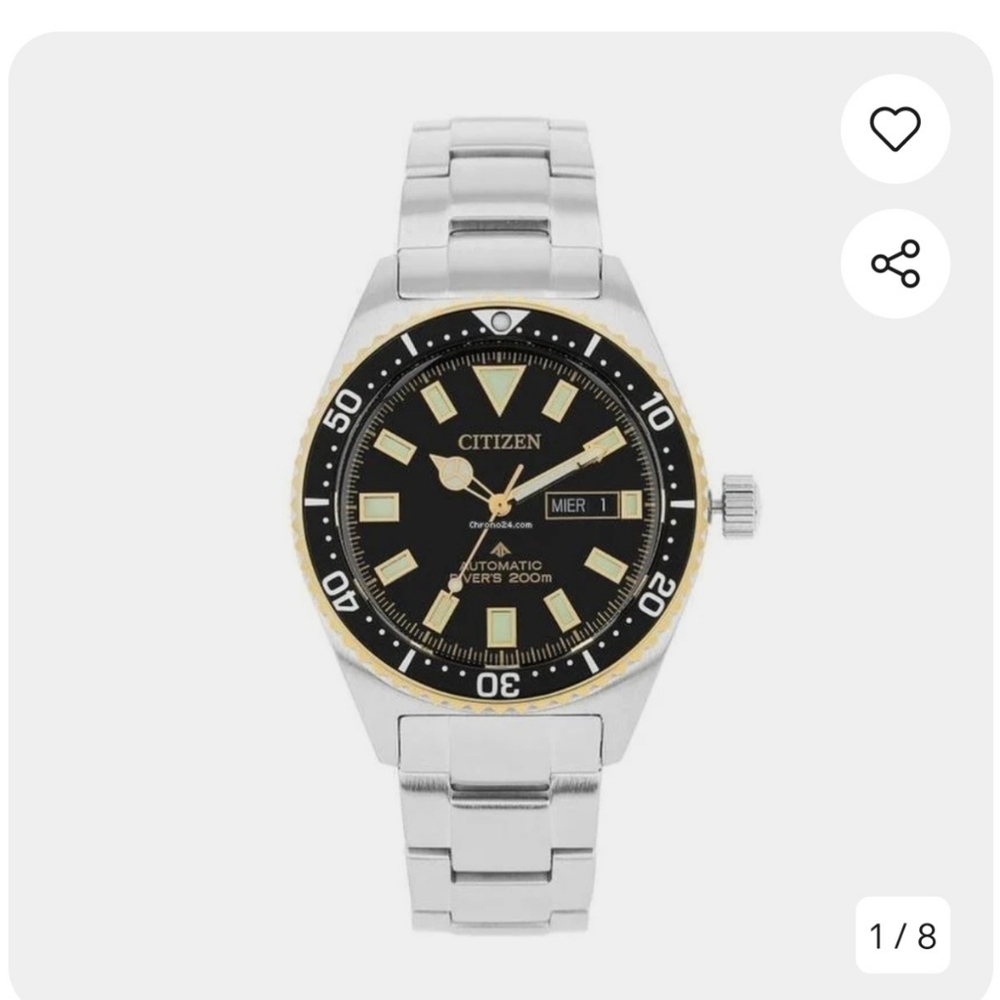 Citizen Silver and Gold Dive Watch